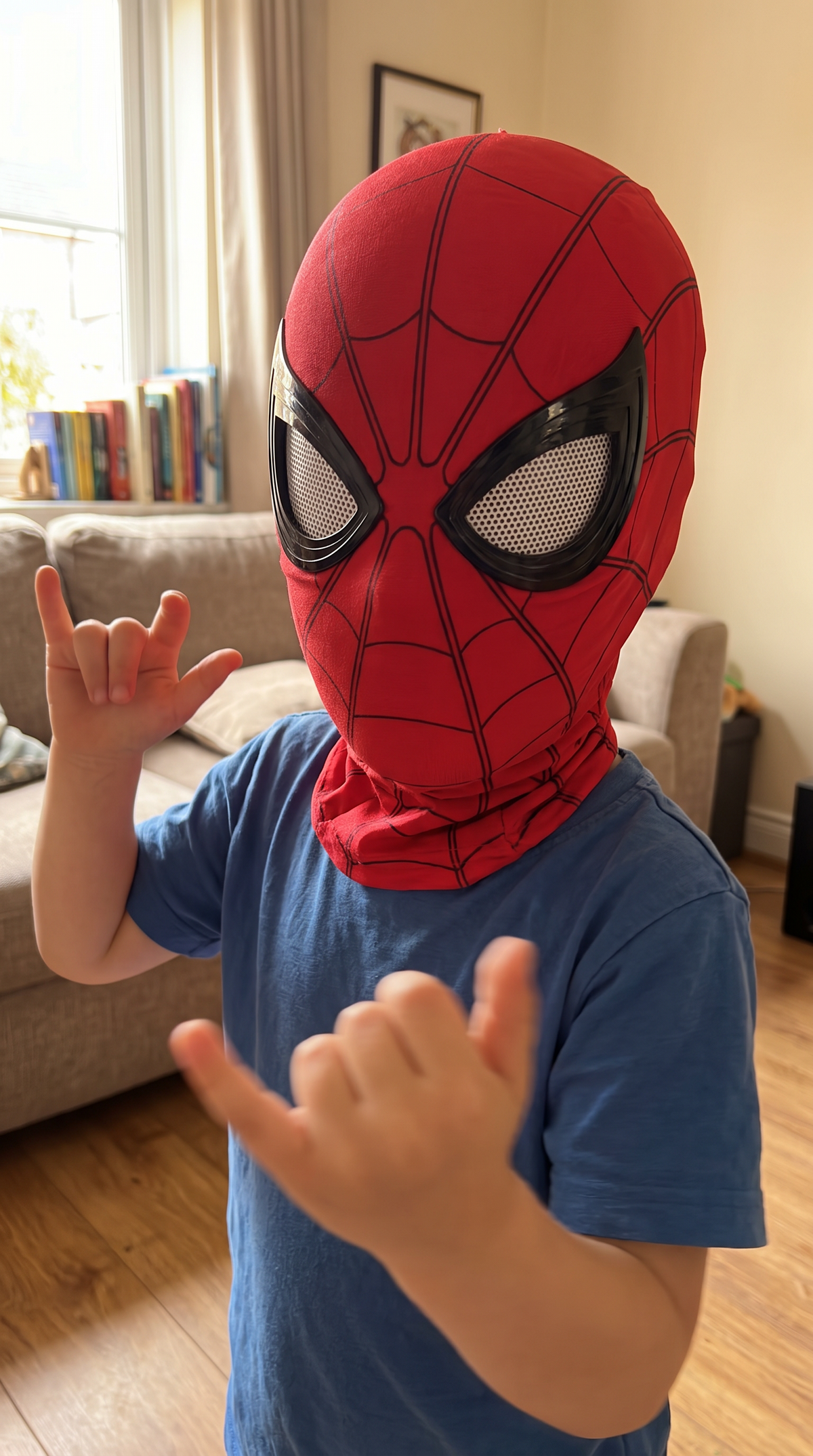 SPIDEYYY™ - Winking Mask